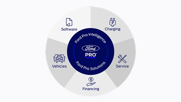 Graphic of Ford Pro Solutions
