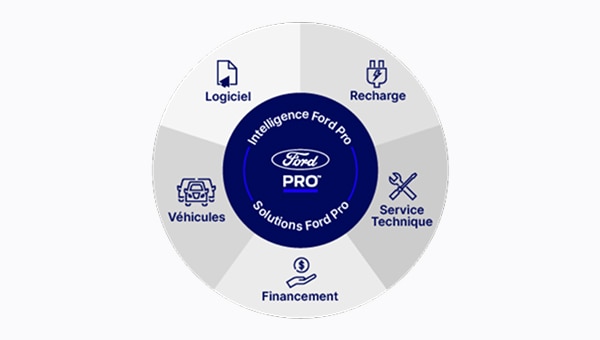 Graphisme des Solutions Ford Pro