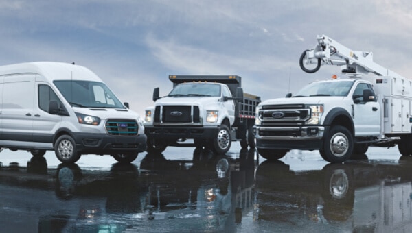 Camions commerciaux Ford blancs garés en rangée