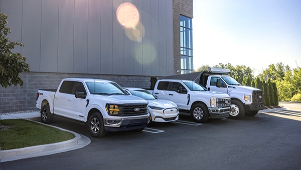 Flota de pickups Ford y mustang Mach-E frente a edificio industrial.