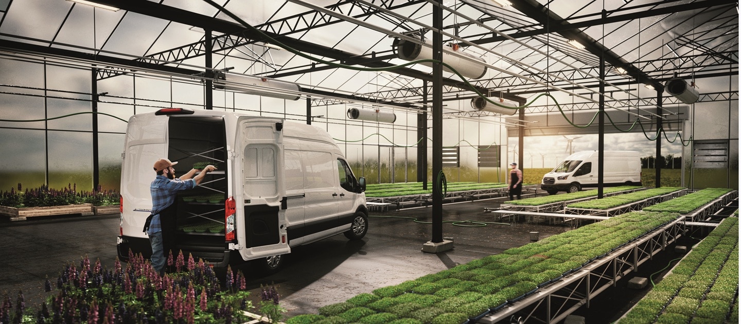 Ford Transit Van blanca cargando plantas en un invernadero.
