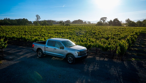A silver Ford F-150 Lightning truck parked in a vineyard